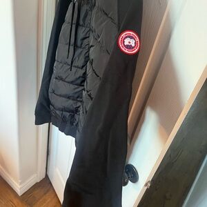 Canada Goose hybridge Huron